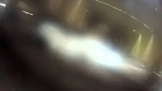 Husky Prey Drive