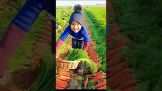magic vegetables