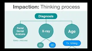 Impaction diagnosis & treatment protocol - Part 1｜【Chris Chang Ortho】CC757