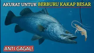 Rekomendasi Cara Mengikat Pancing Kakap Putih - Luar Biasa Bermanfaat