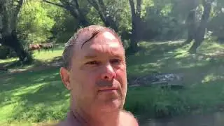 ВИЗУАЛИЗАЦИЯ #живаяприрода🦆💦🧿