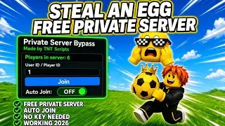 [NEW] Steal an Egg Free Private Server Script (Working 2026)
