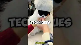 This Is How Owners Give Cats Medicine Without Stress 😺💊