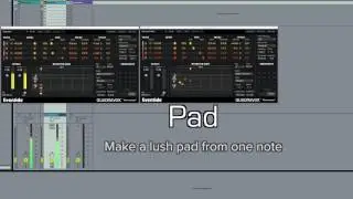 Quadravox on Synths and Drums