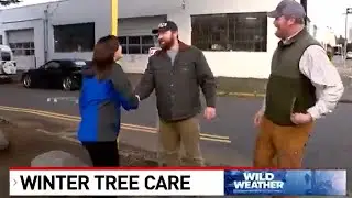 Best Winter Tree Care Tips from Portland Arborists
