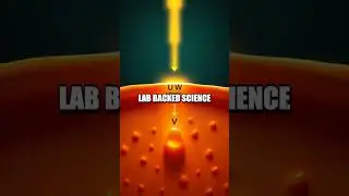 Vitamin D Real Time A Portable UV B Biohacking Experiment