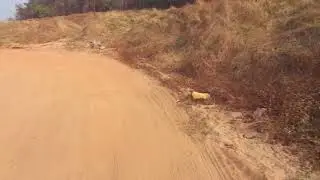 Beach encroachment