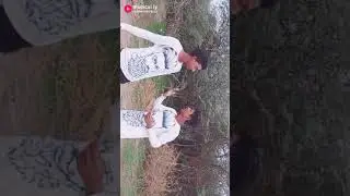 Kvr fun videos(2)