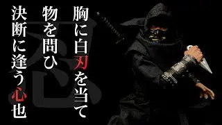 【6inch＋✕VTOYS】SHADOW NINJA　Ver. BLACKを開封