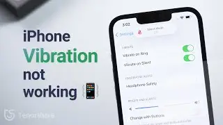 iPhone not Vibrating/Vibration not Working? Top 6 Methods to Fix