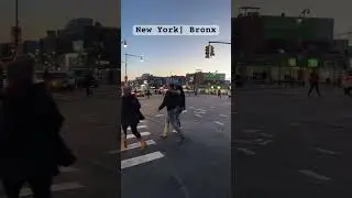 New York Bronx Places to go. Fordham Road. Grand Concourse
