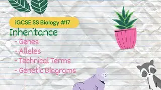 Inheritance | iGCSE SS Bio #17