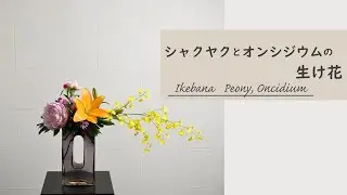 【シャクヤクとオンシジウムの生け花】紫のガラスの花瓶にお花を生けたよ カラフルなお花のアレンジの仕方 ikebana style class Japanese flower arrangement