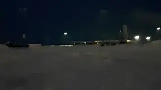 Setrik im Schneegest&ouml;ber