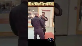 Тэнчи с финтом