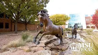 Welcome to the MSU Texas Stang Gang!