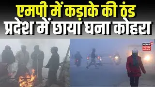 MP Weather Today : कोहरे और कड़ाके की ठंड से कांपा मध्यप्रदेश | Indore | Top News | MP News