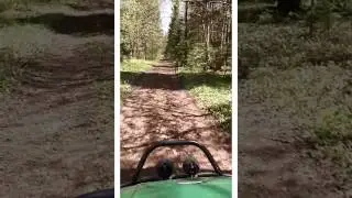 Black River Lodge - Trip to the River