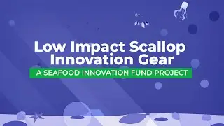 LISIG project - scallop dredge gear innovation project