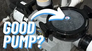 Review & Up Close Demo of Waterway Power Defender Pool Pump 110 Single Speed