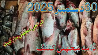 Karachi Fish Price Update || 30 December 2025 || Karachi Fish Latest Price Video | Dama Fish Cutting
