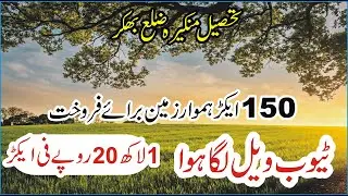 Land for sale 150 acre cheap agriculture land for - Cheap agriculture land for sale