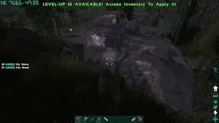 Ark The Island #4 | Taming Trike v&agrave; x&acirc;y nh&agrave; tạm bợ