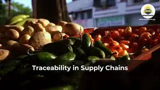How Can Blockchain Revolutionize Precision Agriculture