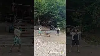 رقص بطری ژرمن شپرد 🐕 Crazy Bottle Dance Challenge in the Forest 😍 کمپینگ جنگل