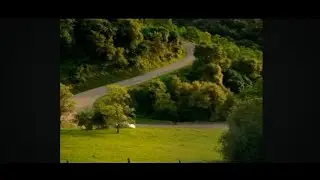 Scary Car Commercial Auto Kfee