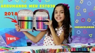 ARRUMANDO MEU ESTOJO  #MEGACOLORIDO