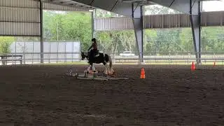 Pearl and I Ranch Trail 2nd place Florida Color Horse Club Show October 26th 2025