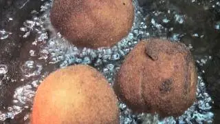 Bombas picantes Vídeo receta 74 Aquí cocinamos todos. Cooking recipe