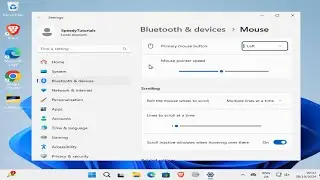 How To Fix Mouse is Highlighting Everything When I Click