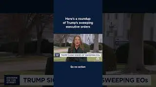 Here's a roundup of Trump's sweeping executive orders