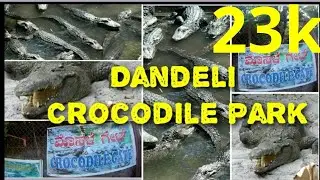 Dandeli Crocodile park#manjugkamble#dandeli#viral#dandeli#trending#trending #viralvideo #travelvlog