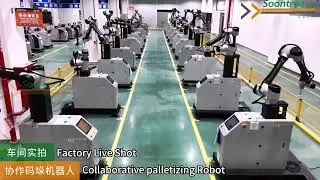 Customized Grippers for Robotic Palletizing | One Robot, Many Packaging Formats