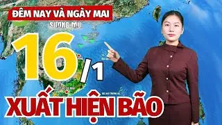 Dự báo thời tiết mới nhất đêm nay và ngày mai 16/1 | Bắc Bộ rét ẩm, xuất hiện bão ở Biển Đông!