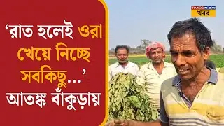 Bankura News| 'রাত হলেই ভয় বাড়ছে বাঁকুড়ায়', সব হারিয়ে কী বলছেন চাষিরা? শুনুন তাঁদের কথা| District
