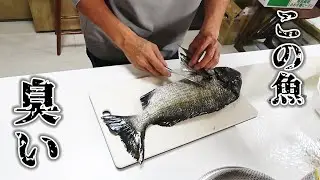 遂にこの魚が美味しくなる方法みつけました！