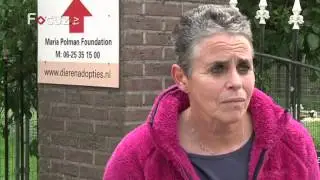 Reactie Maria Polman