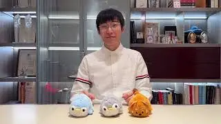 Morphing Plush (Panda to Penguin Grey) by Jackie Zhao and JT Magic