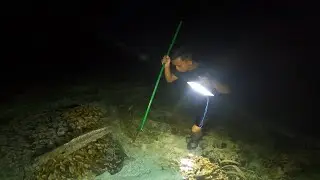 Menombak ikan malam hari bertemu rombongan ikan baronang dan semadar babon2
