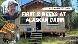 First 16 Days at Alaskan Cabin