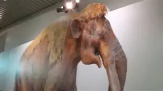 Waco Mammoth National Mounment