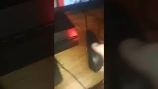 can you use a mouse on a ps4?