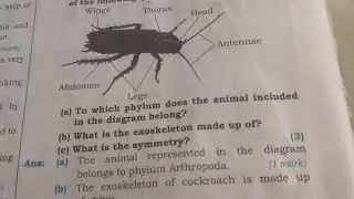 Bord pepar March 2020 question paper standard 10 subject science 2/