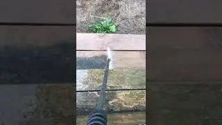 Power washing satisfaction.