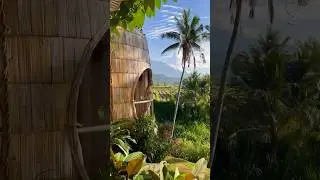 bucket list hotels in Bali 🇮🇩🤯 #hotels #travel #adventure #explore #nature #bali