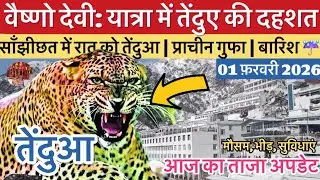 वैष्णो देवी: यात्रा में तेंदुए से दहशत | बारिश☔️| भीड़ कम #vaishnodeviyatra #vaishnodevi #yakshom